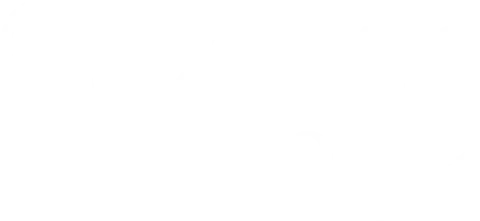 Спросите Шефа
